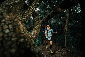 BIB: 
                            <button type="button" onclick="openModal(25693887)" class="btn btn-primary btn-sm float-right btn-popup" data-toggle="modal" data-target=".modal-high-quality">
                        <i class="fas fa-shopping-cart"></i> Add to Cart
                    </button>
                                            <button type="button" onclick="isThisMe(25693887, true)" class="btn btn-success btn-sm float-right btn-popup btn-isme hidden" data-toggle="tooltip" data-placement="bottom" title="นี่คือรูปของคุณใช่ไหม คลิกที่นี่เพื่อเอาเข้าอัลบั้ม">
                        <i class="fas fa-plus"></i> Add to album
                    </button>
                    <button type="button" onclick="isThisMe(25693887, false)" class="btn btn-warning btn-sm float-right btn-popup btn-isnotme hidden">
                        <i class="fas fa-ban"></i> Remove from album
                    </button>